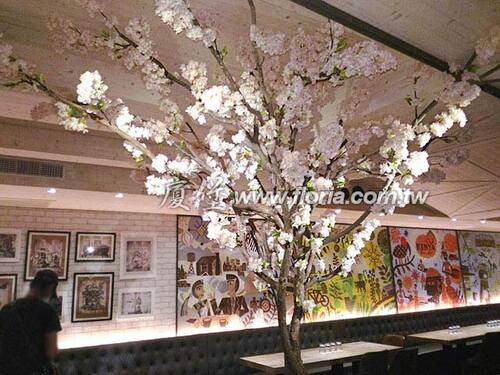 【 桃園 布納咖啡 BUNA CAFE 】