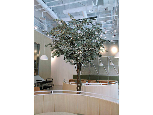 【 板橋 銀廚餐廳 】