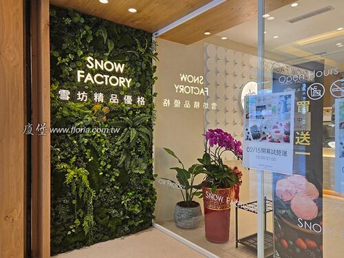 【台北 SNOW FACTORY雪坊康寧門市】