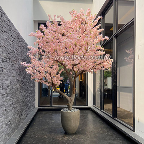 【 櫻花樹-1 】
