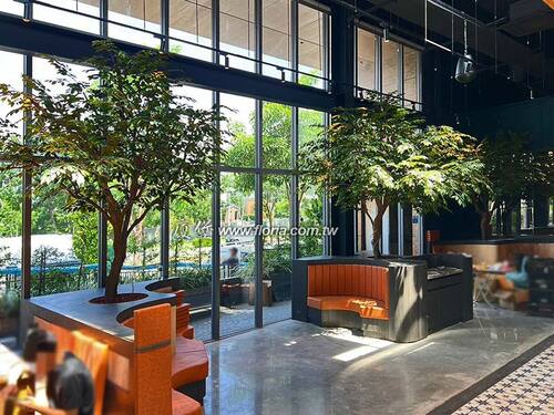 【 台中 Ayres Tango 阿根廷牛排餐酒館 】