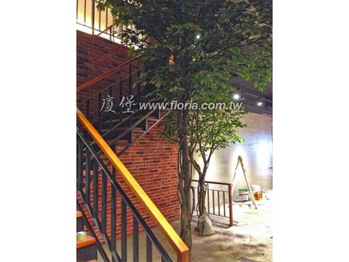 【 桃園 LEBON`S樂朋餐廳 】