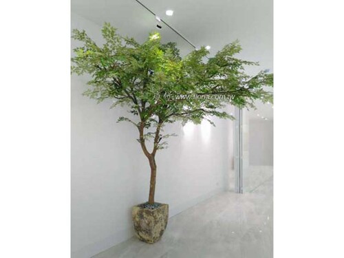 【 聖德福田妙國 】