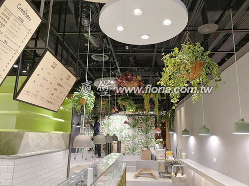【 TheGreenery蔬坊-A8林口環球門市 】