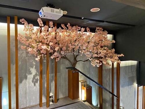 【HANA錵 餐廳】