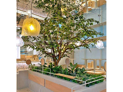 【 小小樹食 敦南店 】