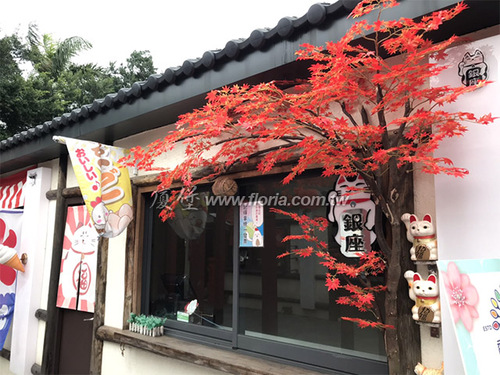 【 蛋寶生技不老村 】
