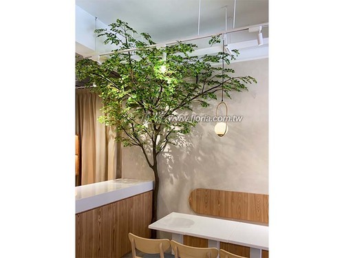 【 桃園 彩湯食餐廳 】