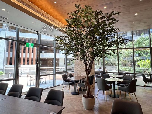 【 新竹 Ni Café妮咖啡 台元店 】