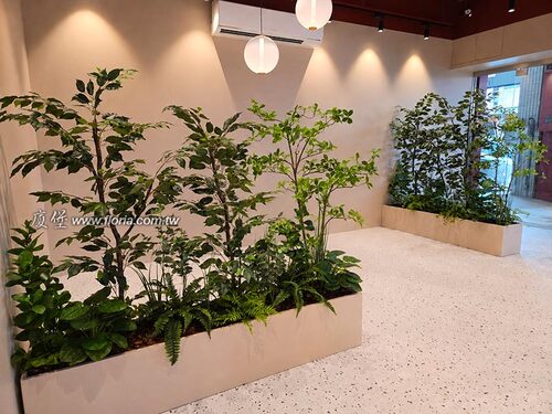 【 台中JEWEL CAFE｜店面人造植栽屏風與室內造景工程 】