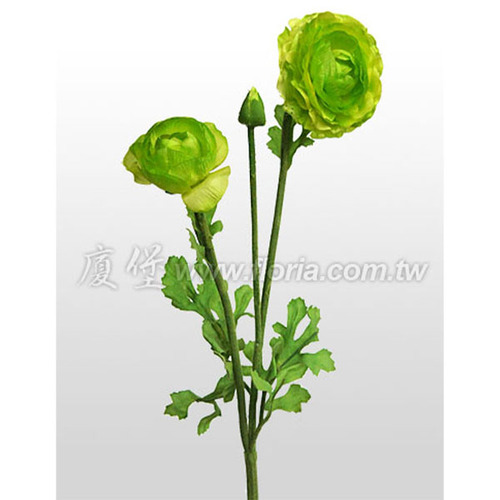 陸蓮花