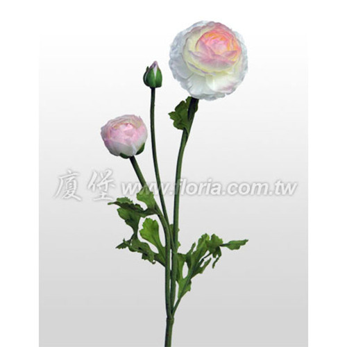 陸蓮花
