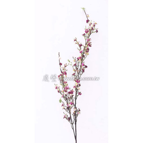 小花枝