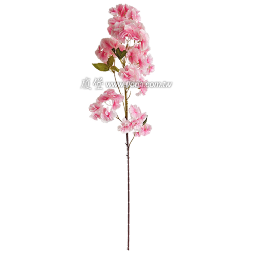 炫彩櫻花樹枝