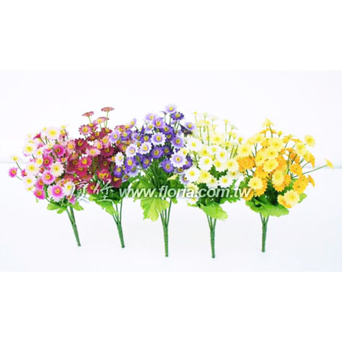 迷你小香菊