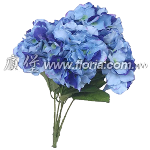 5叉繡球花
