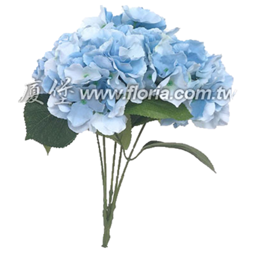 5叉繡球花