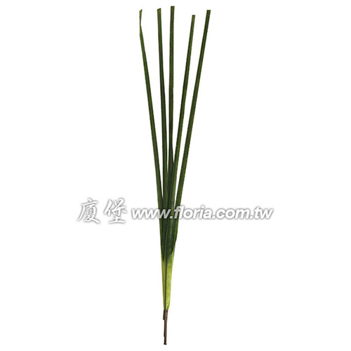 小竹葉