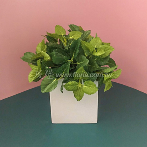 F0001