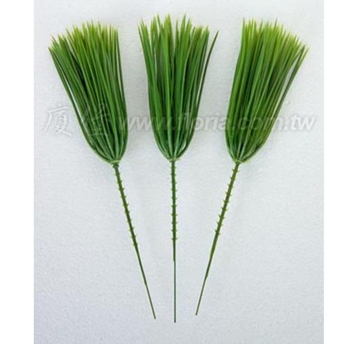 小麥草