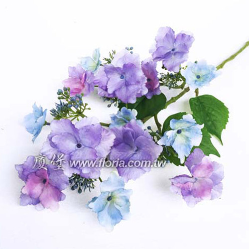 蝶戀花 紫色