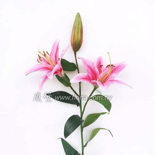 百合