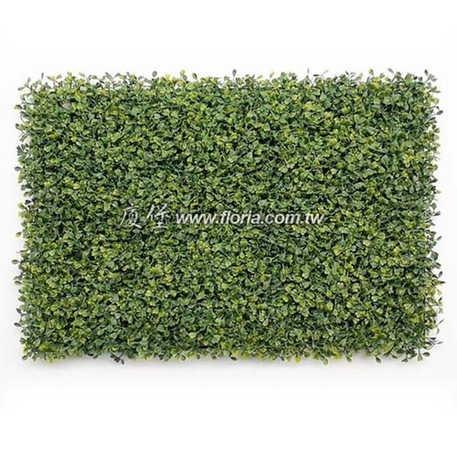 七里香草皮 3層