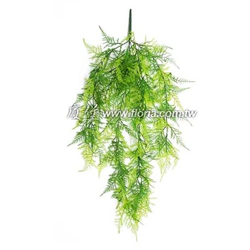 新娘草
