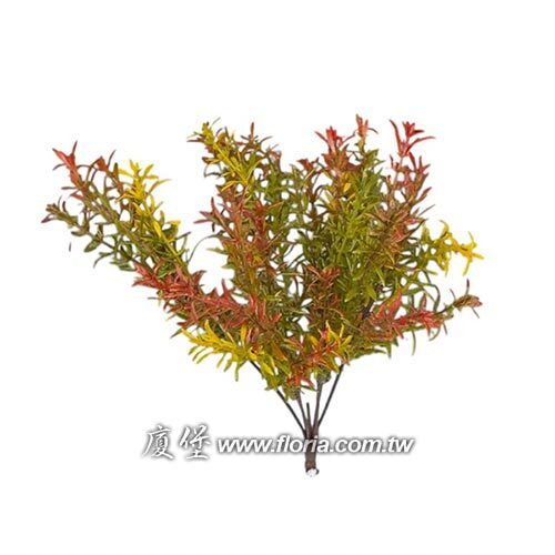天文冬花束(秋色)