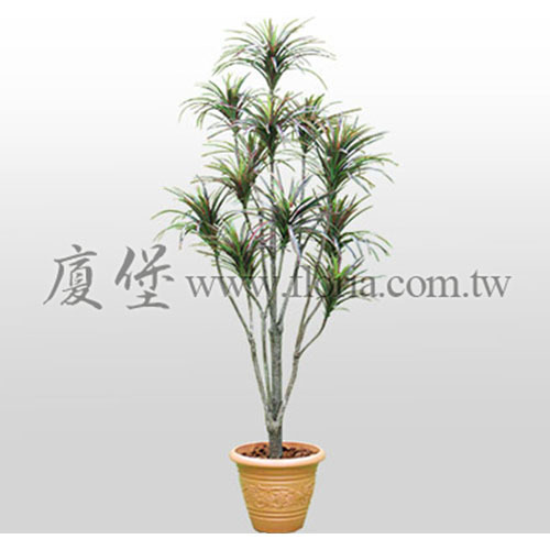 紅線千年木