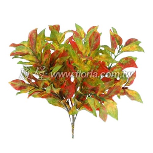 迷你彩莧草
