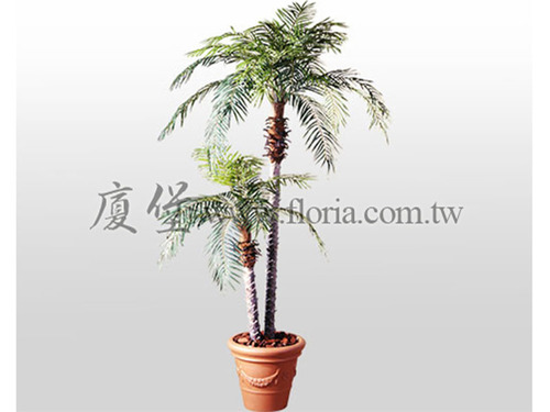 羅比親王105cm