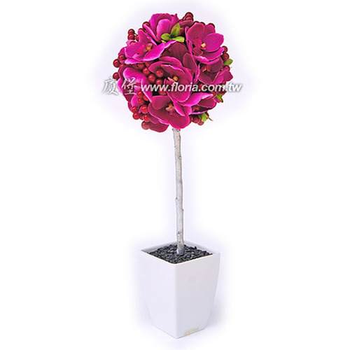 FR023
