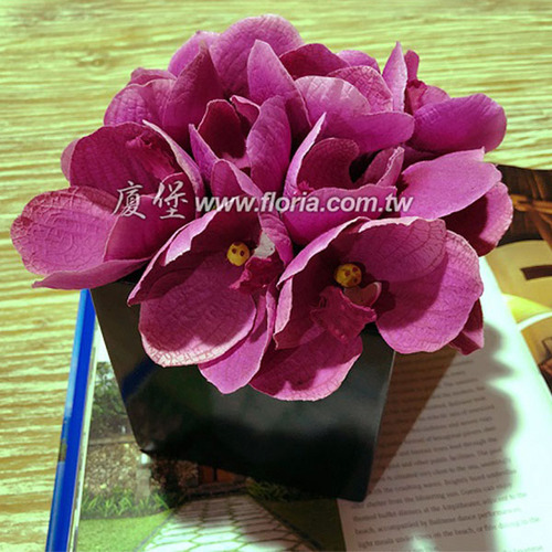 HYS0029