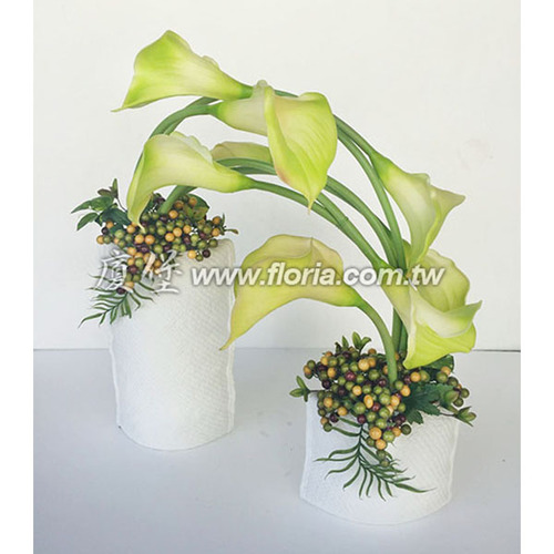 HYS0038