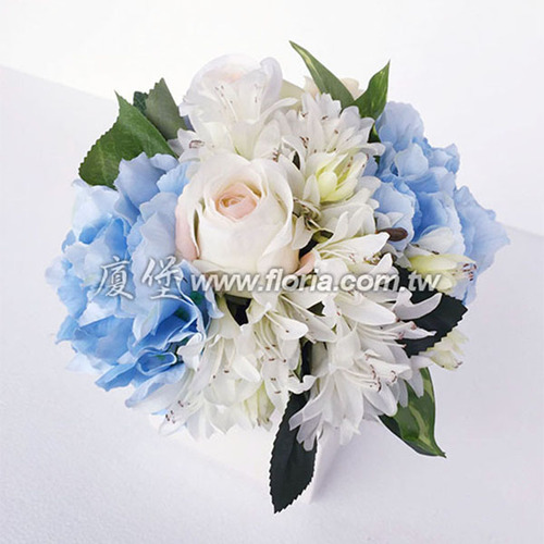 HYS0046