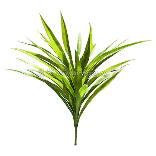 石滬蘭葉